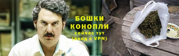 шишки Магадан