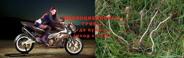Альфа ПВП Магас