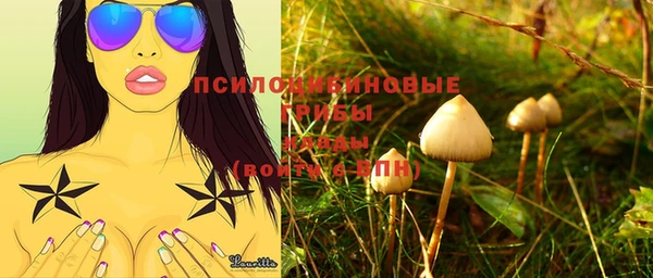 бутират Баксан