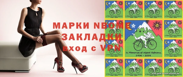 шишки Магадан