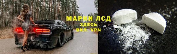 ГАЛЛЮЦИНОГЕННЫЕ ГРИБЫ Липки